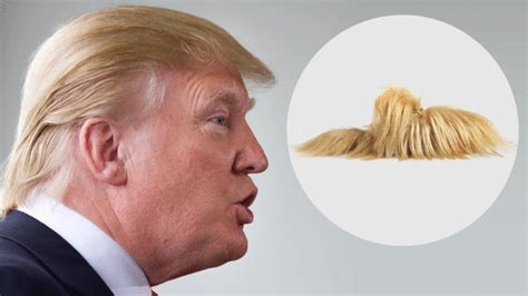 gucci mink slippers|gucci slippers like trump's hair.